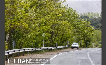 پارک ملی سرخه‌حصار 7