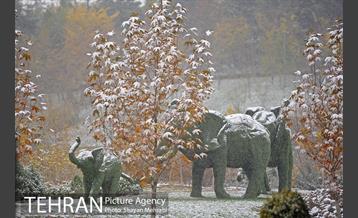 برف پاییزی در تهران 1