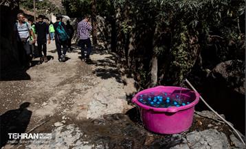 شهرنگار؛ درکه 20