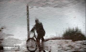 بارش باران زمستانی در تهران 9