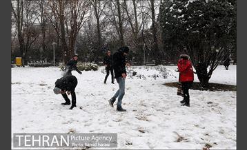 روز برفی بلوار کشاورز 13