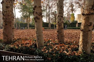 سومین رویداد هنری "پاییز برگ" در میدان مشق 33