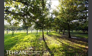 باغ گیاه شناسی ملی ایران  30