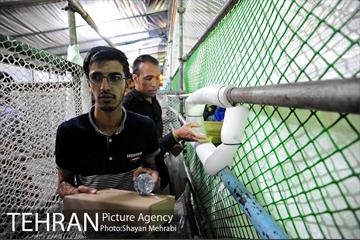 شهرداری تهران در سی امین سالگرد ارتحال امام خمینی (ره) 46
