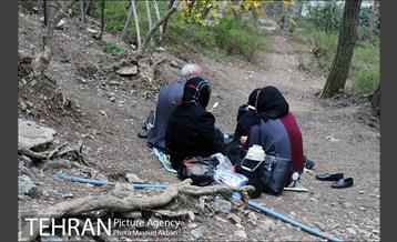 بوستان جمشیدیه در نوروز  17