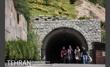 بوستان نهج البلاغه 15