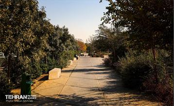 به وقت خدمت؛ باغ‌راه حضرت زهرا(س) محدوده آیت الله سعیدی 67