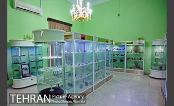 موزه حیات وحش هفت چنار 11