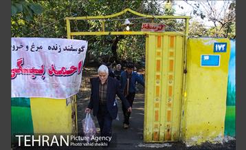 بازار فروش دام در محله طرشت به مناسبت عید قربان 17