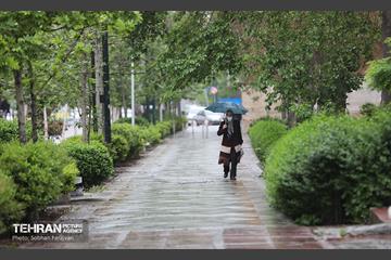 بارش باران بهاری در تهران - 1 21