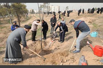 غرس ۲۷۸۲ نهال در سرخه‌حصار به یاد درگذشتگان جامعه پزشکی 12