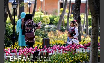 رویش گل های لاله در باغ ایرانی 25