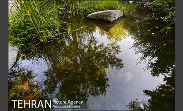 باغ گیاه شناسی ملی ایران  16