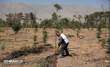 بازدید اصحاب رسانه از روند انجام عملیات احیای چیتگر 2