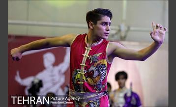 مراسم روز جهانی ووشو 12