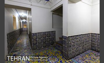 درخشش «الماس» در میانه گلستان 16