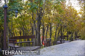 طبیعت پاییزی بوستان فدک 33