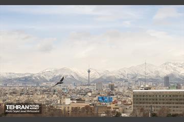 تهران 11