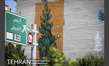 دیوارهای چشم نواز در منطقه 7