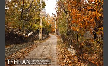 پاییز طلایی روستای افجه 3