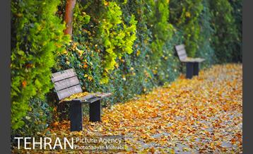 پاییز باغ موزه قصر 10