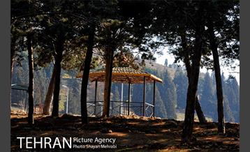 پارک جنگلی سرخه حصار 14