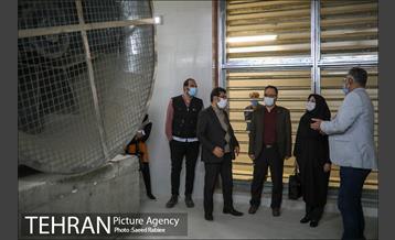 بازدید عضو شورای شهر از ایستگاه مترو یادگار امام(ه) 10