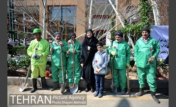 احیای درختان خیابان  ولیعصر( عج) با حضور شهردار تهران  44