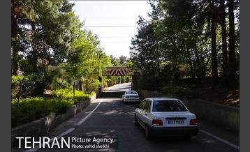 پارک چیتگر 20