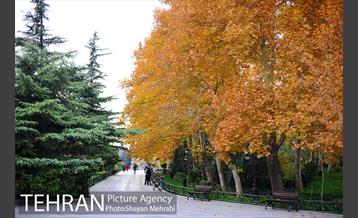 پاییز در بوستان ملت 5