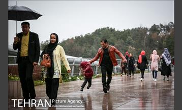 بارش باران بهاری در تهران 29