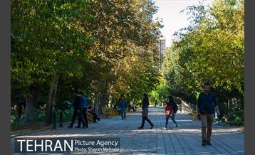 بوستان هنرمندان (ایرانشهر) 28