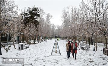 روز زمستانی تهران 12