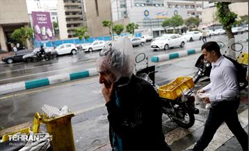 بارش باران بهاری در تهران - 2 6