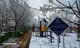 روز برفی در منطقه 8 48