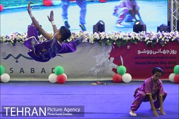 مراسم روز جهانی ووشو 8