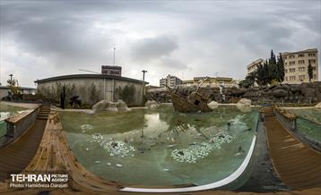 اقیانوس پارک  38