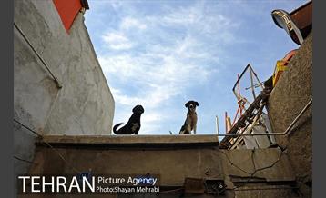 بافت فرسوده بازار تهران 12