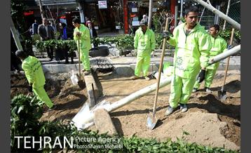 احیای درختان خیابان  ولیعصر( عج) با حضور شهردار تهران  46
