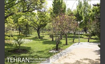 بوستان آزادگان 13