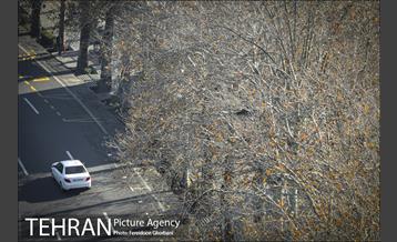 روزهای آفتابی زمستان 3