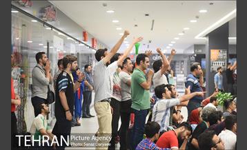 تماشای مسابقات جام جهانی فوتبال  29