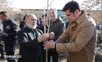 آیین کاشت 1310 نهال در منطقه 5 11
