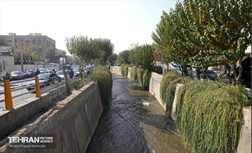 افتتاح پروژه‌های منطقه ۱۴ 39