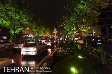 نورپردازی درختان بلوار میرداماد 12