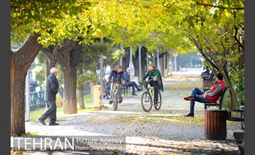 طبیعت پاییزی بلوار کشاورز 2