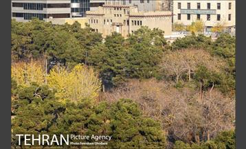 روزهای آفتابی زمستان 24