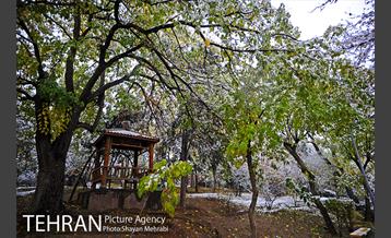 بارش برف پاییزی در بوستان طالقانی 9