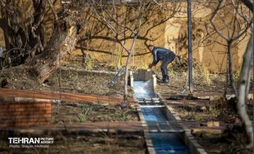 باغ گلاریس 7