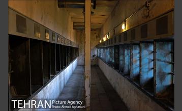 باغ موزه قصر 30